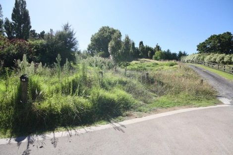 Photo of property in 14 Manuka Drive, Whangamata, 3691