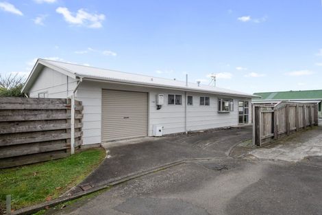 Photo of property in 50c Winchester Street, Levin, 5510