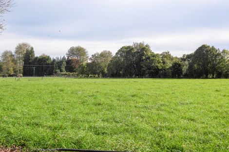 Photo of property in Ashfield, 410 Orari Station Road, Geraldine, 7992