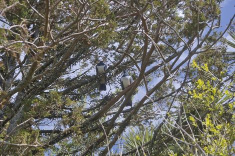 Photo of property in 86 Wanganui Flat Road, Harihari, 7884