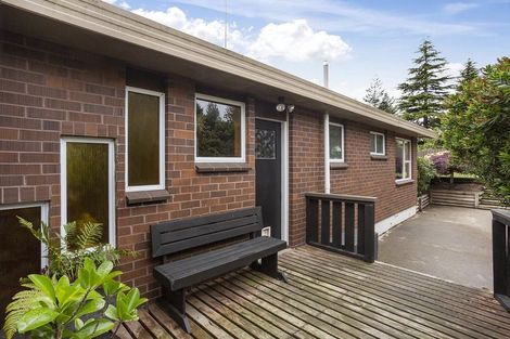 Photo of property in 217 Dalziel Road, Brockville, Dunedin, 9011