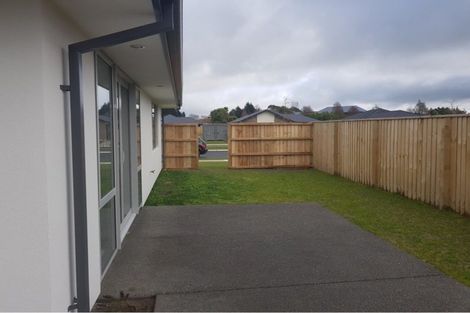 Photo of property in 60 Bayliss Drive, Kaiapoi, 7630