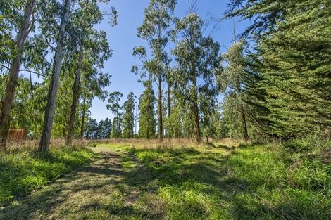 Photo of property in 210 Hororata Dunsandel Road, Dunsandel, Leeston, 7682