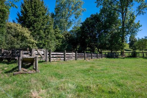 Photo of property in 254 Oruanui Road, Wairakei, Taupo, 3384