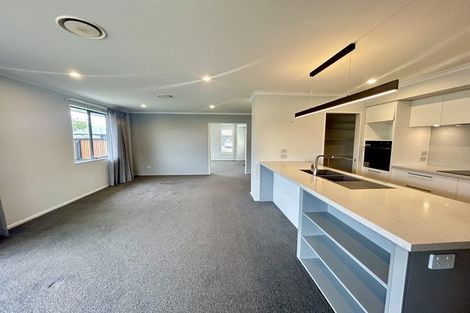 Photo of property in 46 Youngberry Drive, Richmond, 7020