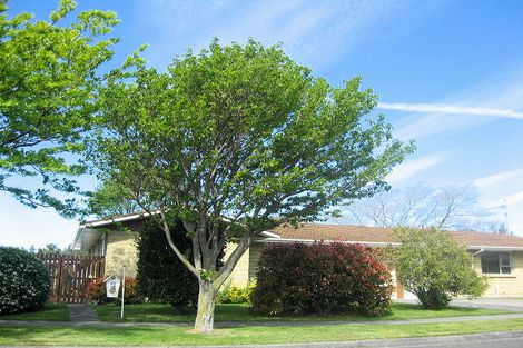 Photo of property in 1/56 Leefield Street, Blenheim, 7201