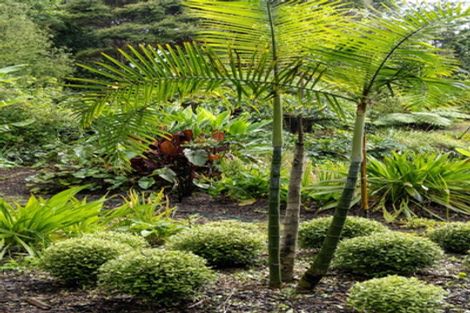 Photo of property in 118 Ngarara Road, Waikanae, 5036