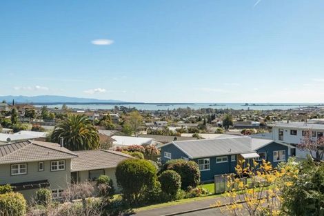 Photo of property in 61 Marlborough Crescent, Richmond, 7020