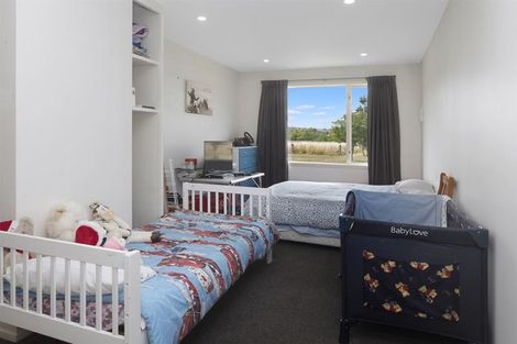 Photo of property in 520 Bush Road, Coopers Creek, Oxford, 7495