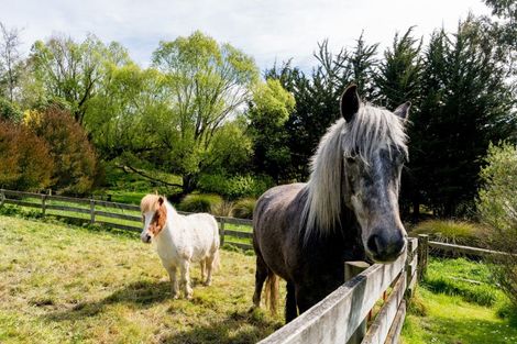 Photo of property in 14 Saddle Hill Road, Fairfield, Dunedin, 9076