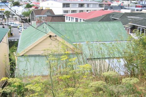 Photo of property in 19 Millward Street, Newtown, Wellington, 6021