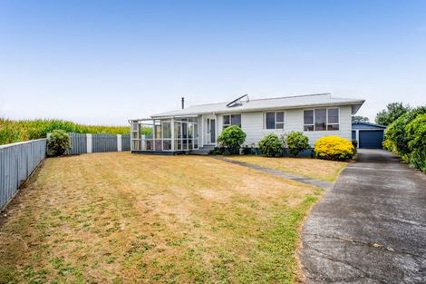 Photo of property in 53 Brennan Place, Opunake, 4616