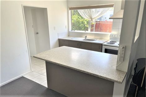 Photo of property in 251b Waterloo Road, Hutt Central, Lower Hutt, 5011