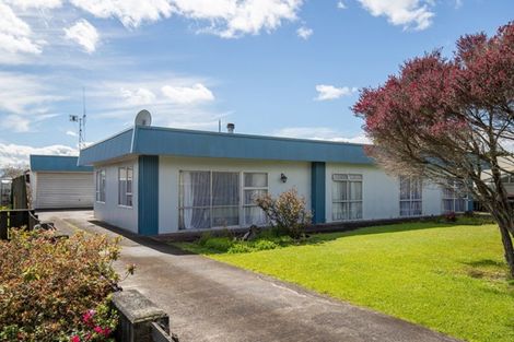 Photo of property in 4 Pinnock Place, Ngatea, 3503