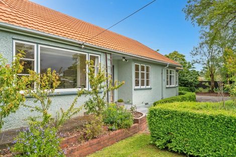 Photo of property in 117 Harley Street, Solway, Masterton, 5810