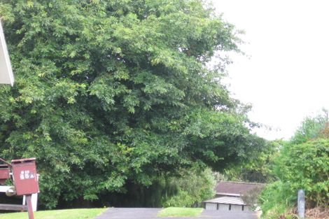 Photo of property in 45 Trevola Street, New Windsor, Auckland, 0600