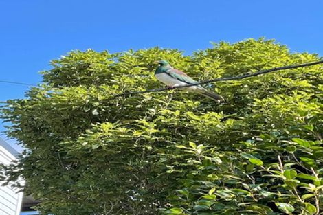 Photo of property in 170 Cockayne Road, Ngaio, Wellington, 6035