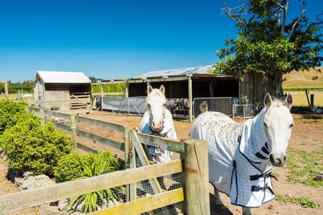 Photo of property in 55 Atkins Street, Patutahi, Gisborne, 4072