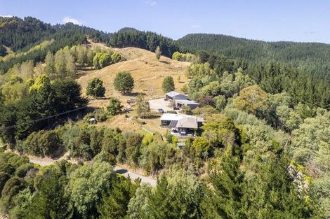 Photo of property in 196 Tinui Valley Road, Tinui Valley, Tinui, 5894