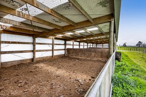 Photo of property in 124 Kahouri Road, Midhirst, Stratford, 4394