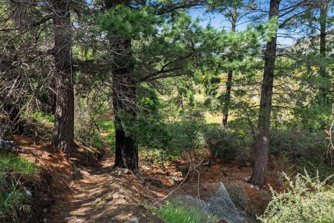 Photo of property in 7 Ladysmith Road, Roxburgh East, Roxburgh, 9571