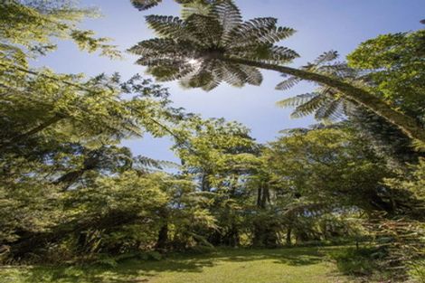 Photo of property in 425b Lund Road, Aongatete, Katikati, 3178