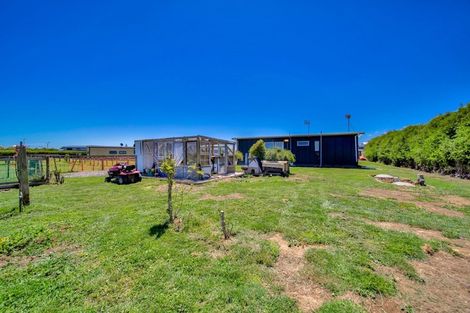 Photo of property in 20a Fitzgerald Lane, Hawera, 4673