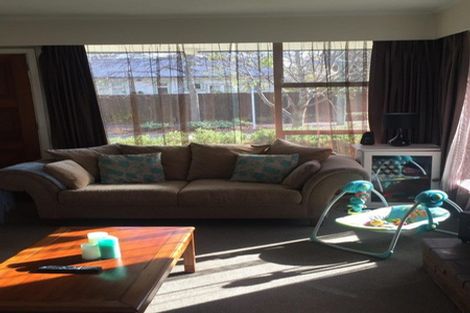 Photo of property in 52 Rogers Street, Sydenham, Christchurch, 8023