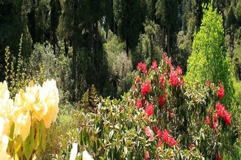 Photo of property in 101 Raurimu Road, Raurimu, Owhango, 3989