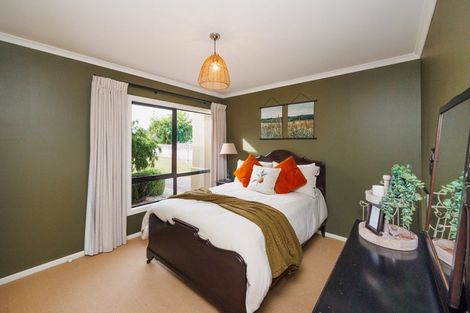 Photo of property in 22 Ursula Drive, Feilding, 4702