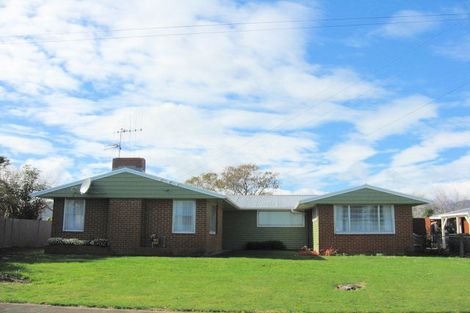 Photo of property in 12 Baden Street, Levin, 5510