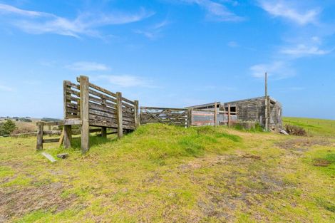 Photo of property in 25 Mapuna Road, Tangiteroria, 0381