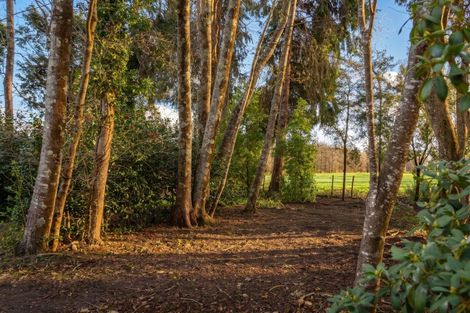 Photo of property in 15 Woodlands Way, Greytown, 5712