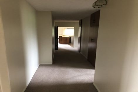 Photo of property in 432 Island Road, View Hill, Oxford, 7495