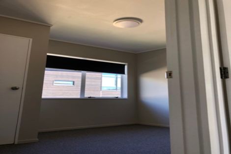 Photo of property in 92a Clarence Street, Hamilton Lake, Hamilton, 3204