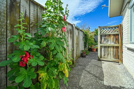 Photo of property in 1/217 Mcleod Street, Camberley, Hastings, 4120