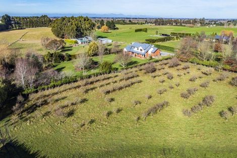 Photo of property in 204 Marshmans Road, Ashley, Rangiora, 7477