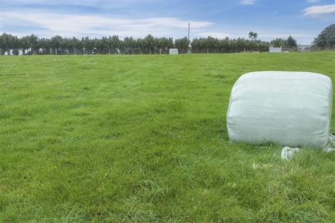 Photo of property in 15 Helena Street, Lumsden, 9730