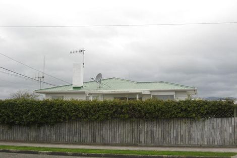 Photo of property in 46 Bristol Street, Levin, 5510