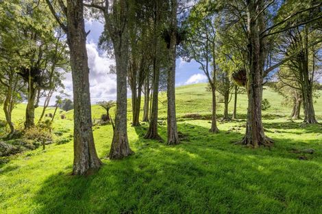 Photo of property in 554 Maungatawhiri Road, Raglan, 3295