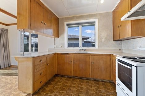 Photo of property in 23 Clutha Street, Alexandra, 9320