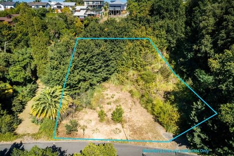 Photo of property in 9 Burlington Road, Hospital Hill, Napier, 4110