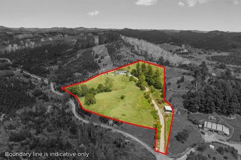 Photo of property in 451 Ararua Road, Waiotira, 0193