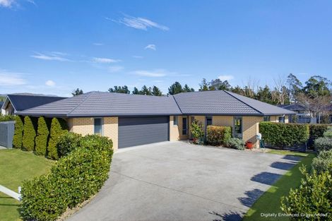 Photo of property in 34 Maeburn Street, Witherlea, Blenheim, 7201
