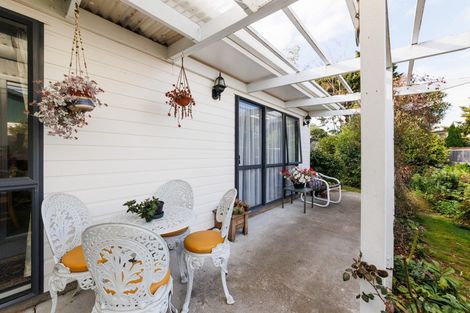 Photo of property in 101 Lincoln Street, Ashhurst, 4810