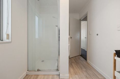 Photo of property in 46a York Street, Hamilton East, Hamilton, 3216