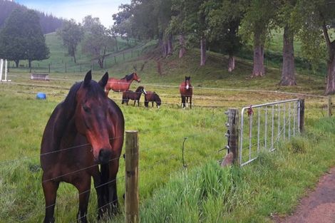 Photo of property in 512 Old Taupo Road, Waotu, Putaruru, 3481