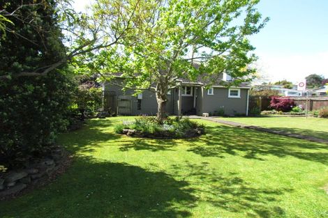 Photo of property in 43 York Street, Levin, 5510