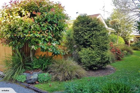 Photo of property in 65 Cox Street, Geraldine, 7930