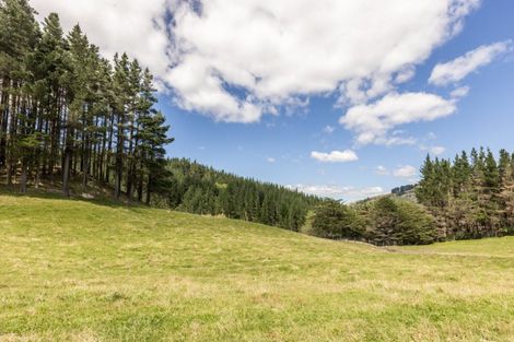 Photo of property in 3140 Taupo Road, Te Pohue, Napier, 4182